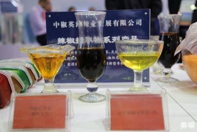 德州市招才引智成果展惊艳亮相，八大亮点引领人才新高度
